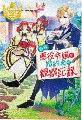 铁皮骑士团 机甲热血动画封面